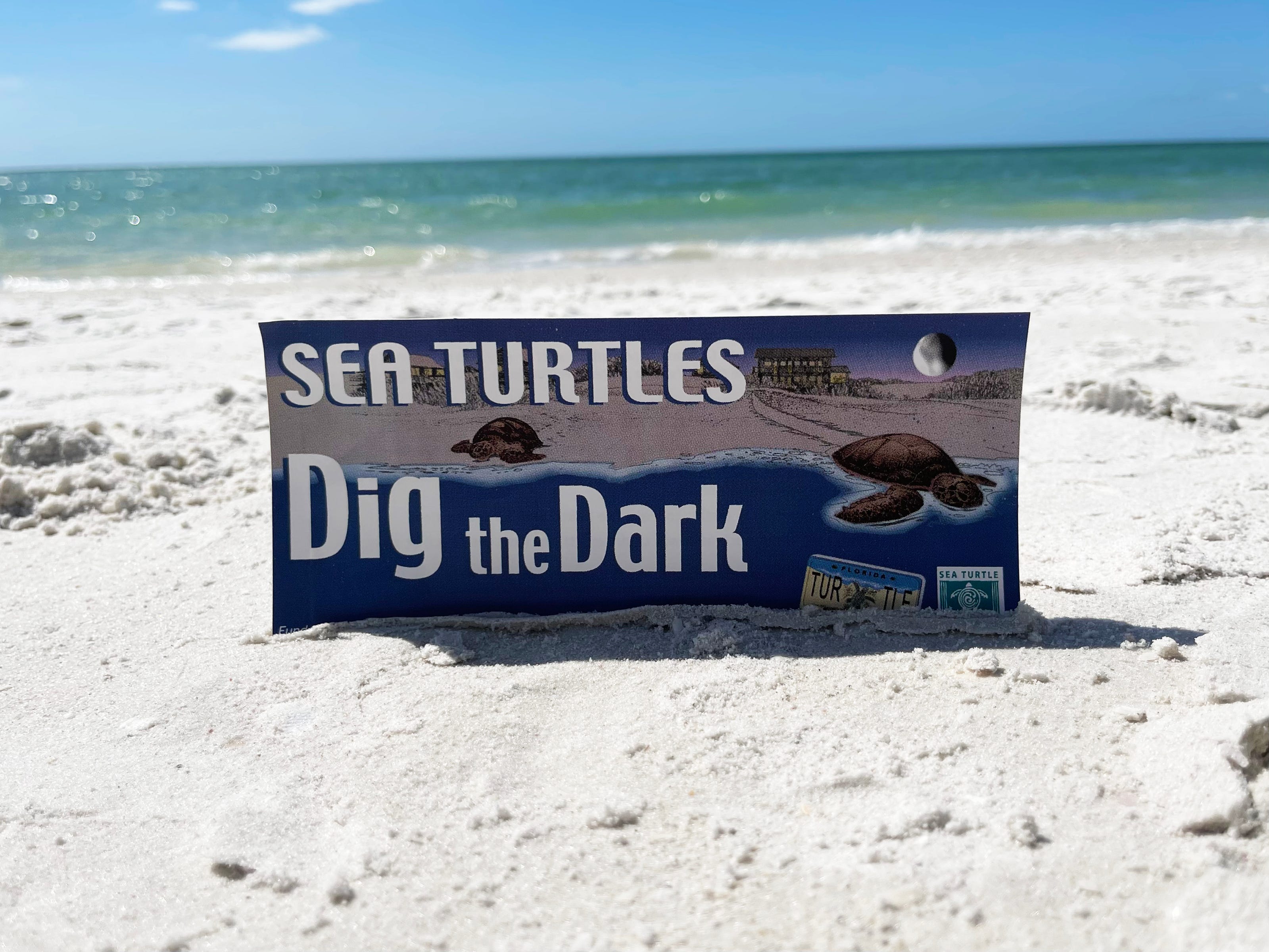 The first reading of a sea turtle lighting ordinance was brought to the Marco Island City Council concerning lighting for buildings close to beaches necessary to protect the sea turtle nesting habitats.