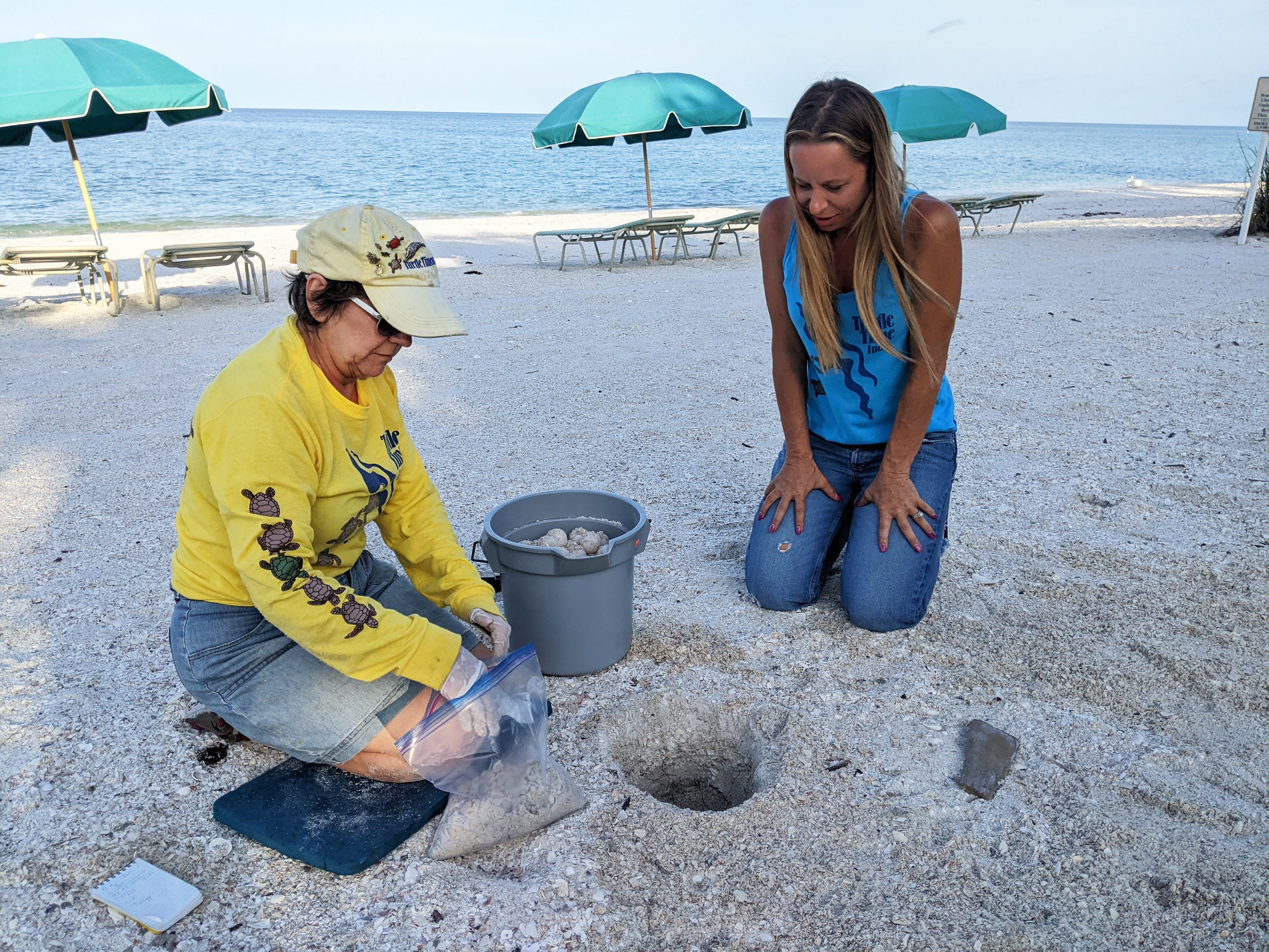Rachel Barnhart and Ashlie Manger had to move the first nest on Bonita Beach this year because the mother turtle laid the nest too close to the water. They only do this when the nest is in jeopardy due to its proximity to the Gulf.  The volunteers with Turtle Time, dug a new nest and placed the eggs gently in the nest and about 60 days later it successfully hatched.